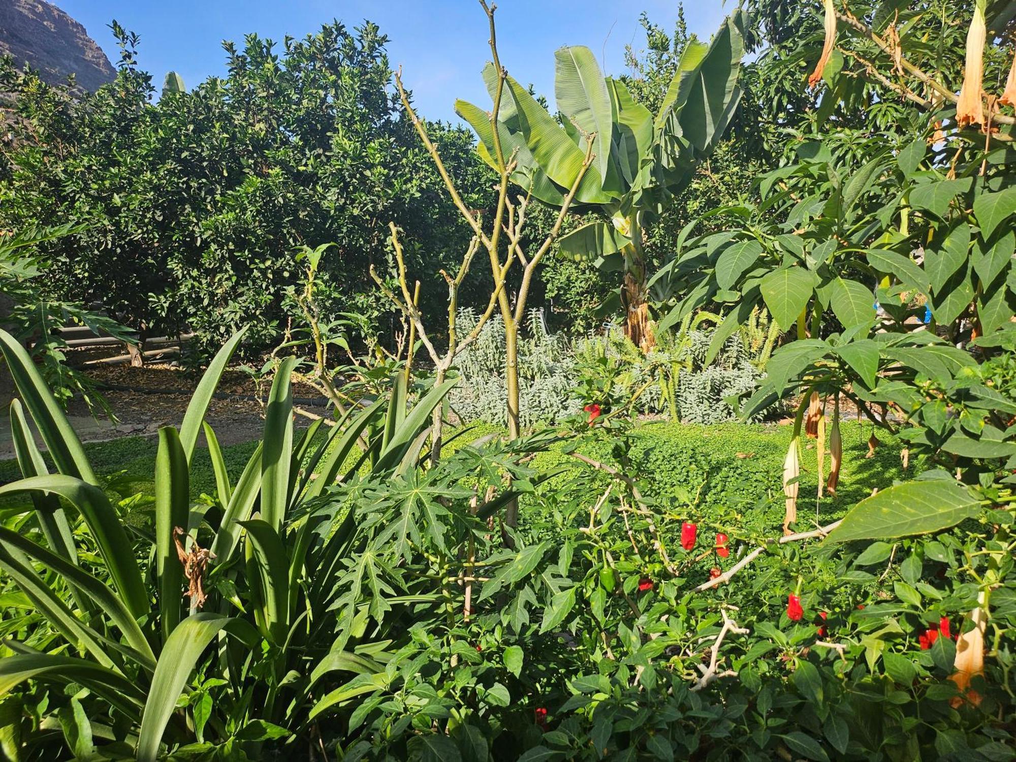 Casa Erika Villa แอร์มิกวา ภายนอก รูปภาพ