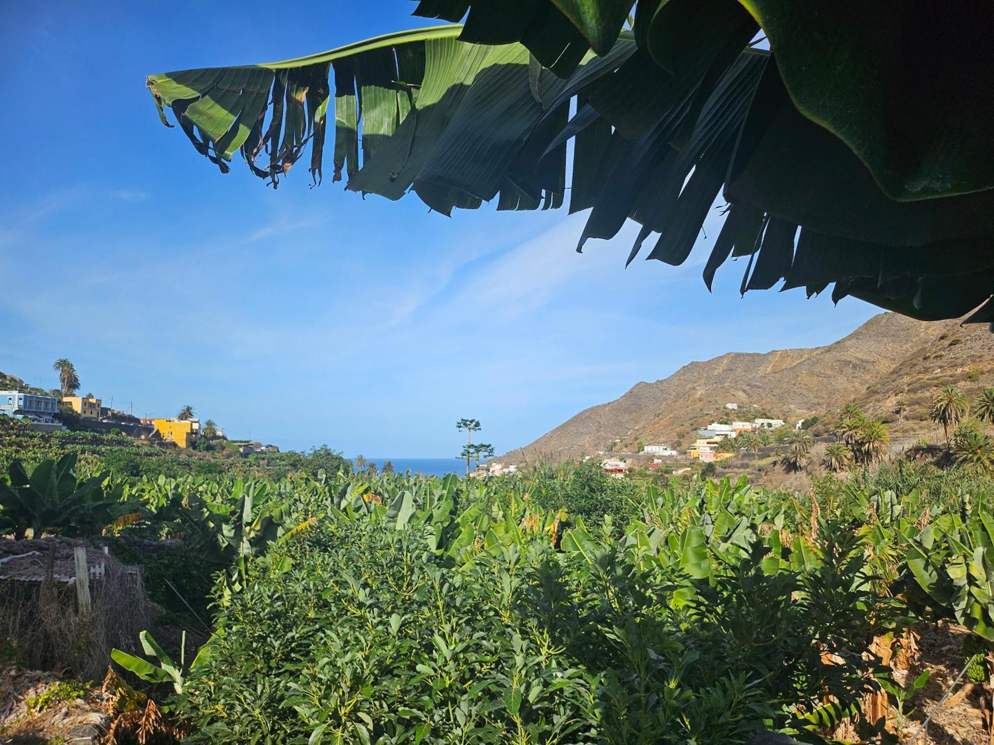 Casa Erika Villa แอร์มิกวา ภายนอก รูปภาพ